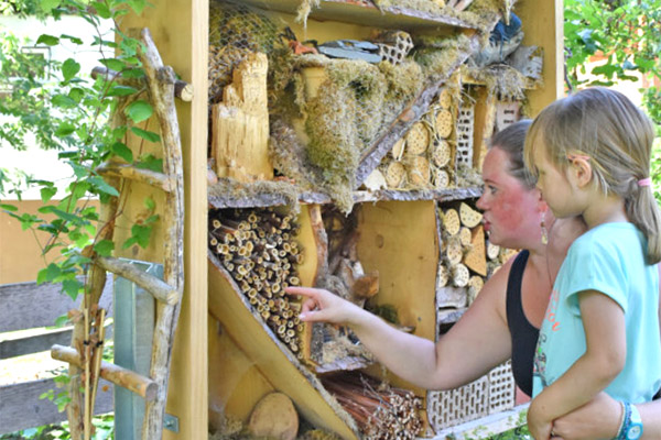 In unserem Insektenhotel ist immer etwas los