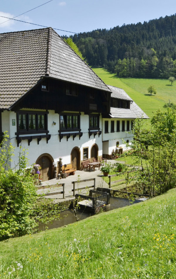 Ramsteinerhof Hausach