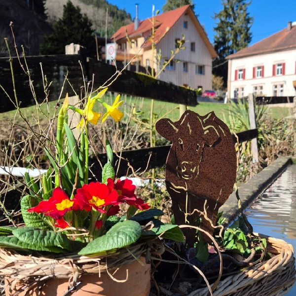 Hofbrunnen