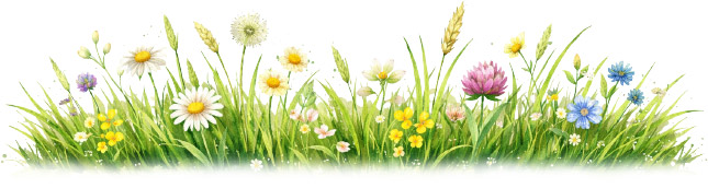 Blumenwiese