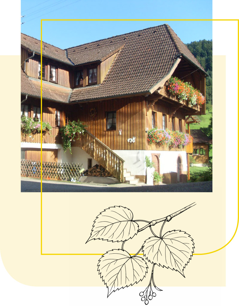 Ferienbauernhof Hausach