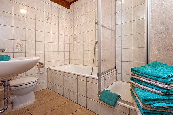 Ferienwohnung Löwenzahn