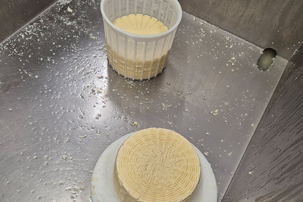 Schön in Form gebracht