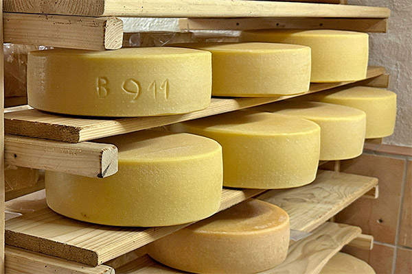 Hier reift unser Käse