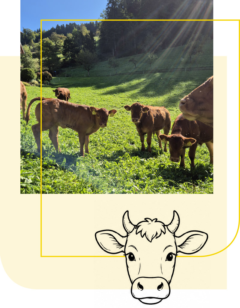 Tiere