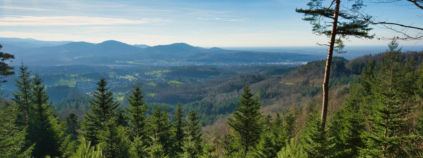 Schwarzwald