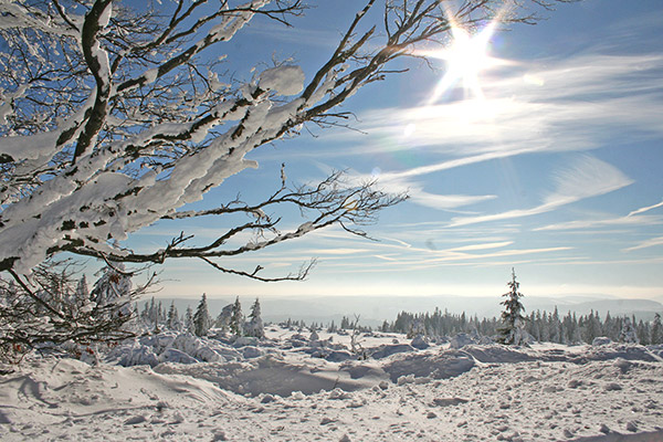 Schwarzwaldhochstraße im Winter